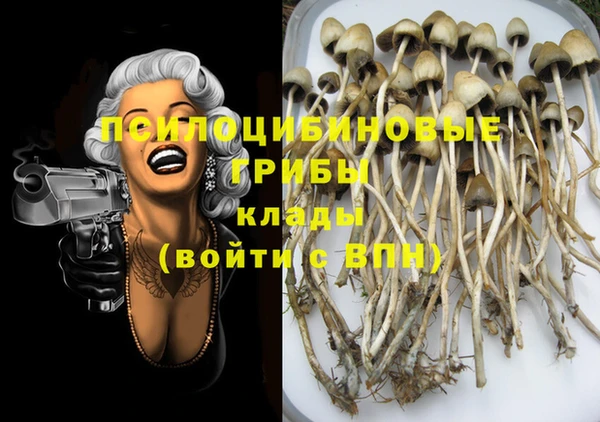 марки nbome Сосновый Бор
