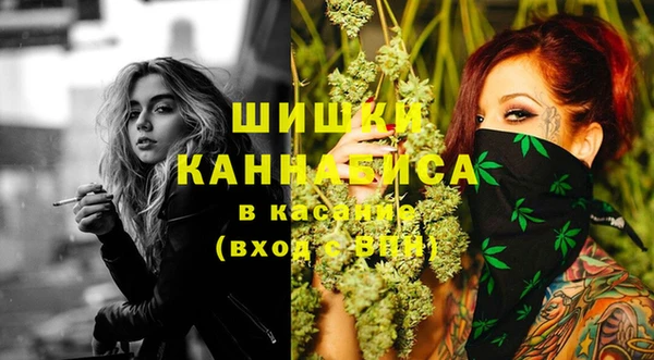Альфа ПВП Сосновка
