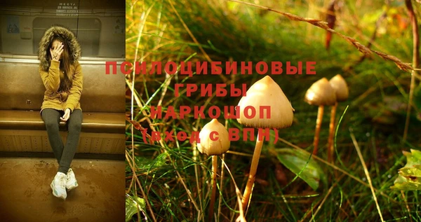 марки nbome Сосновый Бор