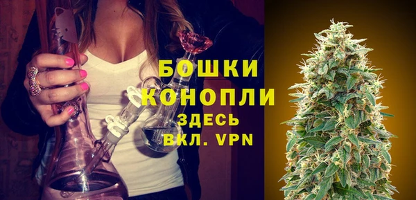 Альфа ПВП Сосновка