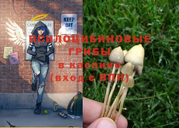 герыч Сосновоборск