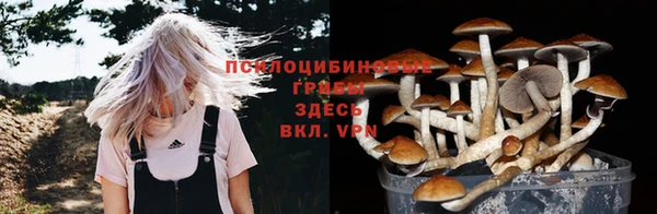 герыч Сосновоборск