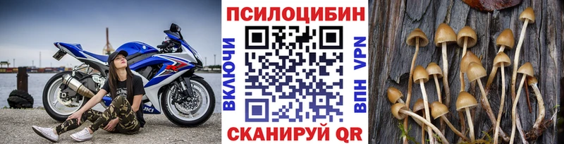 Купить закладки Ржев Галлюциногенные грибы мицелий